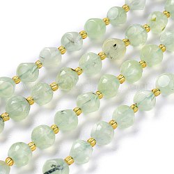 Chapelets de perles en préhnite naturelle, avec des perles de rocaille, dés célestes à six faces, 8~8.5x8~8.5mm, Trou: 1mm, Environ 40 pcs/chapelet, 15.75 pouces (40 cm)