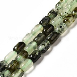 Chapelets de perles en préhnite naturelle, colonne, 9x6mm, Trou: 1~1.2mm, Environ 20~21 pcs/chapelet, 7.09~7.48 pouce (18~19 cm)