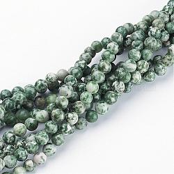 Бусины из дрогоценного камня, зеленое пятно яшма, круглые, диаметром около 6 мм , Отверстие: около 0.8 мм, 15~16 дюйм