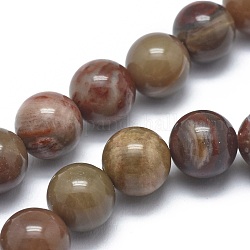 Chapelets de perles en bois pétrifié naturel, ronde, 10mm, Trou: 1mm, Environ 37 pcs/chapelet, 14.9 pouce (38 cm)