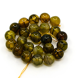 Chapelets de perles veines de dragon en agate naturelle, teinte, ronde, olive, 6mm, Trou: 1mm, Environ 64 pcs/chapelet, 15.5 pouce