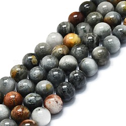 Fili di perline di pietra naturale occhio d'aquila, tondo, 10~11mm, Foro: 1 mm, circa 37~39pcs/filo, 15.35''~15.75'' (39~40 cm)