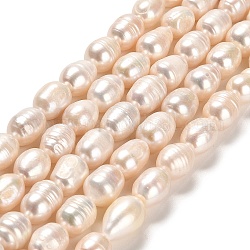 Natural Cultured Freshwater Pearl Beads Strands, Rice, Grade A+, Linen, 8~11.5x7.5~8mm, Hole: 0.5mm, about 28~32pcs/strand, 13.19~13.39 inch(33.5~34cm)