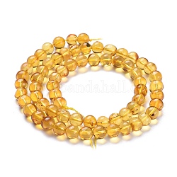 Perles d'ambre naturel brins, ronde, 6~7mm, Trou: 0.6mm, Environ 66 pcs/chapelet, 15.75 pouce (40 cm)