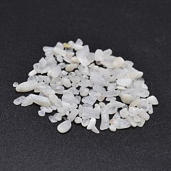 Natürliche Jade Chip-Perlen, kein Loch / ungekratzt, 2~8x2~4 mm, ca. 340 Stk. / 20 g