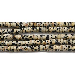 Chapelets de perles en jaspe dalmatien naturelle, disque, perles heishi, 4x2mm, Trou: 1mm, Environ 173 pcs/chapelet, 15.39~15.43'' (39.1~39.2 cm)