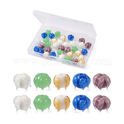 Craftdady 40Pcs 5 Colors Handmade Lampwork Beads, Flower Shape, Mixed Color, 12x10mm, Hole: 2mm