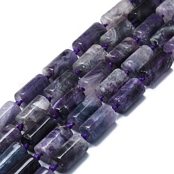 Mèches de perles de fluorite violet naturel, colonne, 14x8mm, Trou: 1mm, Environ 24 pcs/chapelet, 15.75 pouce (40 cm)