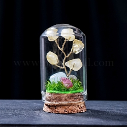 Натуральный топаз украшения дисплей нефрита, миниатюрные растения, террариум со стеклянным Стеклянный Колпаком и пробковым основанием, дерево, 30x57 мм