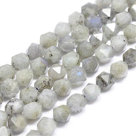 Natural Labradorite Beads Strands G-N0313-08-8mm-1