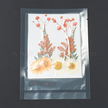 Прессованные сушеные цветы X-DIY-H153-A01-1