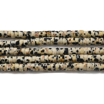 Chapelets de perles en jaspe dalmatien naturelle G-E612-A01-B-1