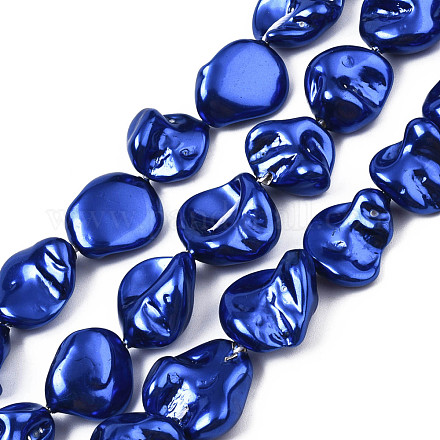 Perles de coquille d'eau douce naturelles galvanisées SHEL-N026-195A-1