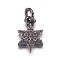 Brass Micro Pave Cubic Zirconia Pendants, for Jewish, Star of David Charms, Gunmetal, 9.5x6.5x2mm, Hole: 2mm