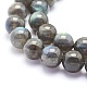 Chapelets de perles en labradorite naturelle  G-O166-08-10mm-3