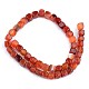 Natural Carnelian Beads Strands G-S359-134A-2