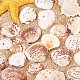 Pandahall элитные окрашенные бусины из натуральных ракушек BSHE-PH0001-10D-5