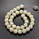 Faceted Round Natural White Shell Beads SSHEL-N012-09-12mm-2