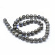 Natural Labradorite Beads Strands G-P326-01-6mm-2