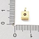 Porte micro ouvrent pendentifs zircone cubique en laiton de placage KK-P247-11G-3