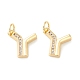 Rack Plating Eco-friendly Brass Micro Pave Clear Cubic Zirconia Charms KK-D072-01G-Y-NR-1