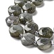 Chapelets de perles en labradorite naturelle  G-NH0004-001-4
