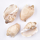 Perles de coquillages en spirale SSHEL-T005-05-1