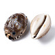 Bedruckte natürliche Kaurimuschel Perlen SSHEL-Q314-001-3
