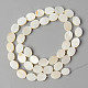 Eau douce naturelle de coquillage perles brins SHEL-N026-73-2