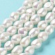 Natural Cultured Freshwater Pearl Beads Strands PEAR-Z002-09-2