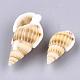 Perles de coquillage en spirale naturelle SSHEL-R036-15-2