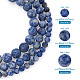 Yilisi 3 brins 3 brins de perles de jaspe à pois bleus naturels G-YS0001-03-3
