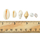 6 styles de perles de coquillages mélangées naturelles BSHE-FS0001-04-6
