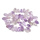 Natürlichen Amethyst Perlen Stränge&nbsp;G-P604-A08-01-5