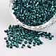 8/0 Two Cut Baking Painted Round Hole Glass Seed Beads SEED-I006-8862-1
