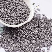 Выпечка краска стеклянные бусины SEED-A033-05C
