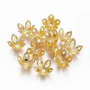 Chapeaux de perles de fer IFIN-L030-001G