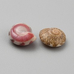 Mini perle di conchiglie miste naturali&nbsp;SHEL-WH0001-016