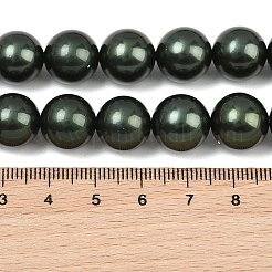 Rangs de perles de nacre de coquillage électroplaquées de taille dégressive&nbsp;BSHE-C011-04-02