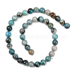 Natur Chrysokoll Perlen Stränge&nbsp;G-K405-B01-10mm