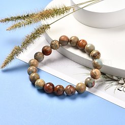 Bracelet extensible de perles rondes de jaspe aqua terra naturel pour hommes femmes&nbsp;BJEW-JB06823-03