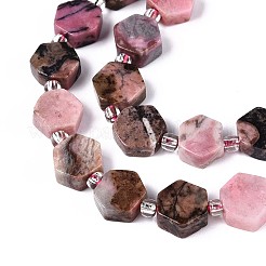 Perline Rhodonite naturale fili&nbsp;G-P534-A16-02