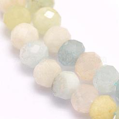 Naturperlen Stränge morganite&nbsp;G-F509-54-5x8mm