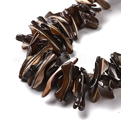 Natur trochid Muschelperlen Stränge&nbsp;SSHEL-G023-05A