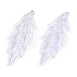 Transparenten Acryl-Anhänger&nbsp;X-OACR-T003-47