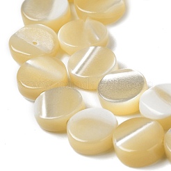 Natürliche Trochusmuschelperlenstränge&nbsp;BSHE-P033-02