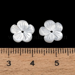 Natürlichen weißen Muschelperlen&nbsp;SH-CBA93AD-07B
