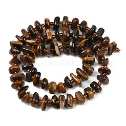 Natürlichen Tigerauge Perlen Stränge&nbsp;G-P619-B01-01