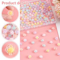 240pcs 12 Farben transparente Acrylperlen&nbsp;MACR-PH0001-75