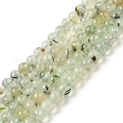 Perline Prehnite naturale fili&nbsp;G-S333-6mm-032